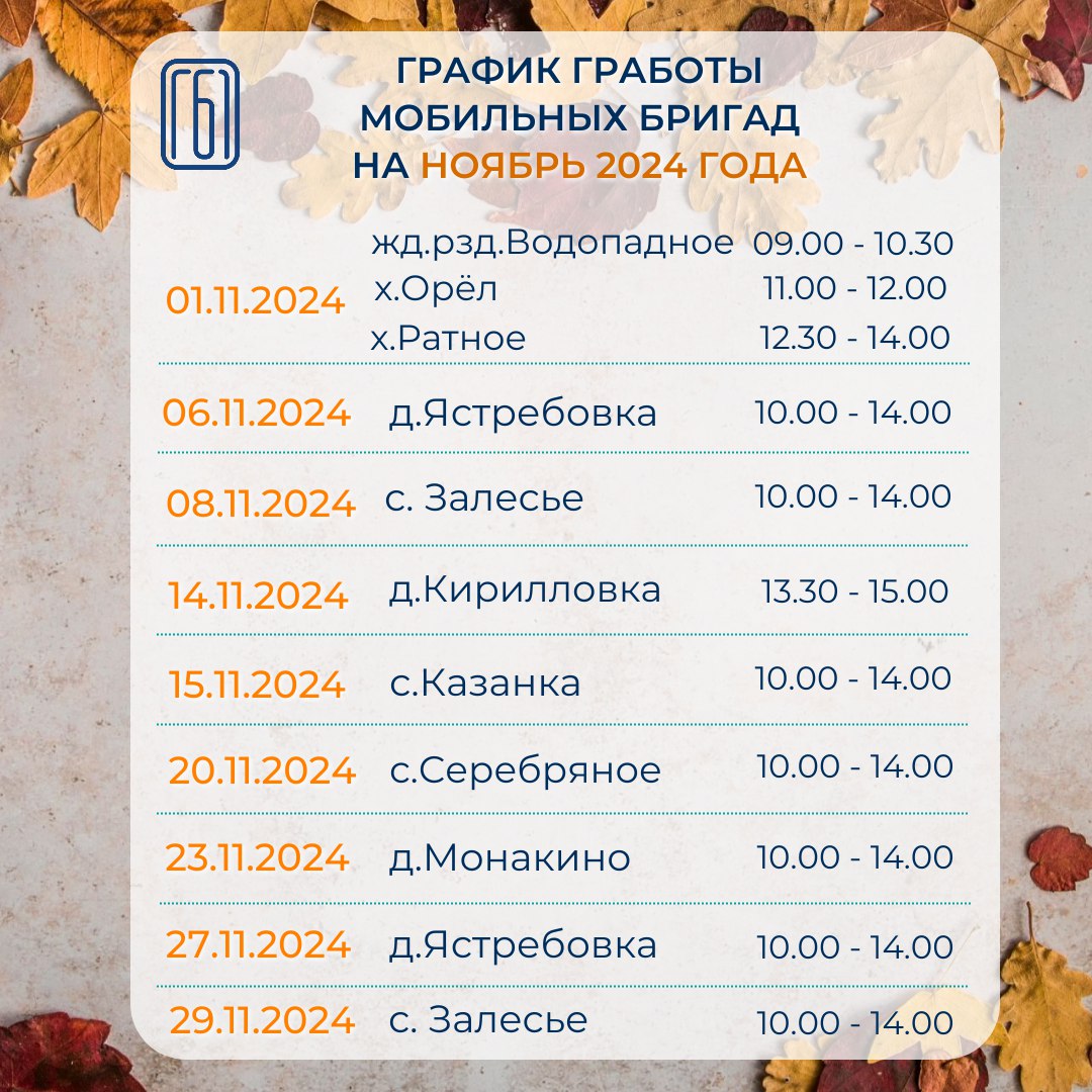 График работы мобильных бригад на ноябрь 2024 года.