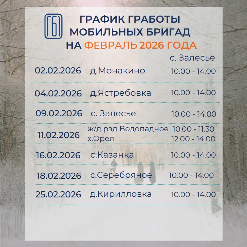 График работы мобильных бригад на февраль 2026 года